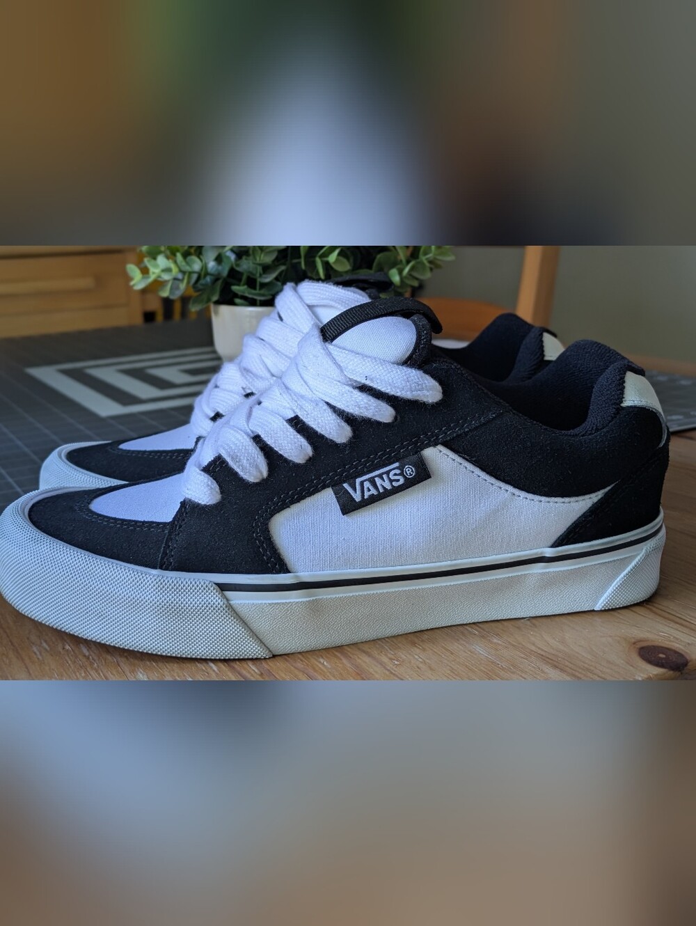 Vans Black and White Low-Top Skate Shoes